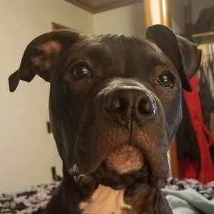 Meet your Posher, Tracie